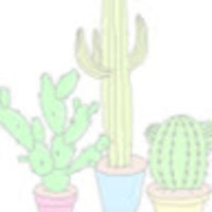 Meet your Posher, Sophie